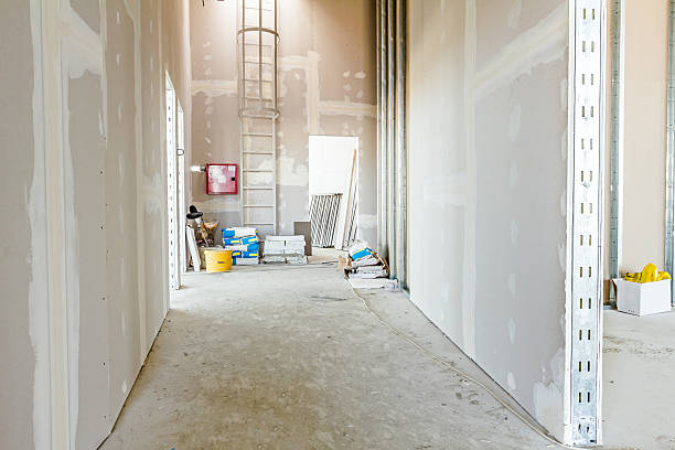 Best Water-Damaged Drywall Repair  in Johnsonville, SC